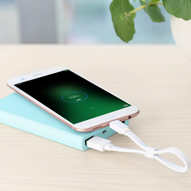 Hoco U34 LingYing dual-use charging cable（L=0.25M)