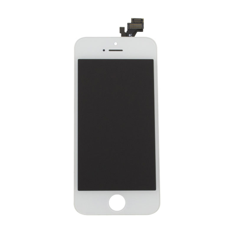 Apple iPhone 5 Display